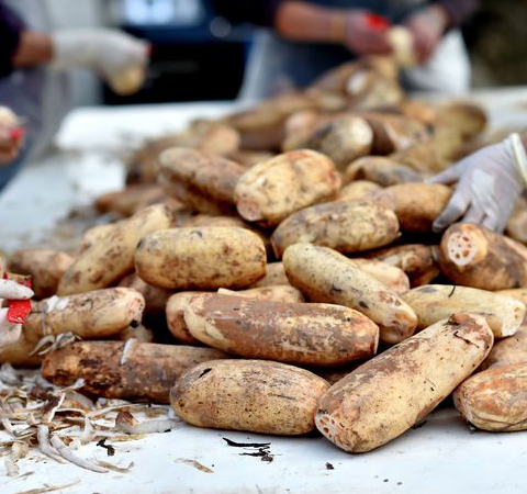 吃藕粉有哪些好處 藕粉的營養(yǎng)價(jià)值介紹
