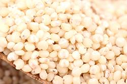 高粱米的做法公開 高粱米的烹飪小技巧