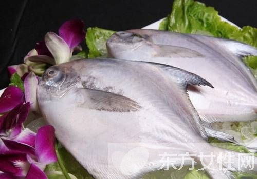 平魚的做法大全 平魚的選購還有這講究