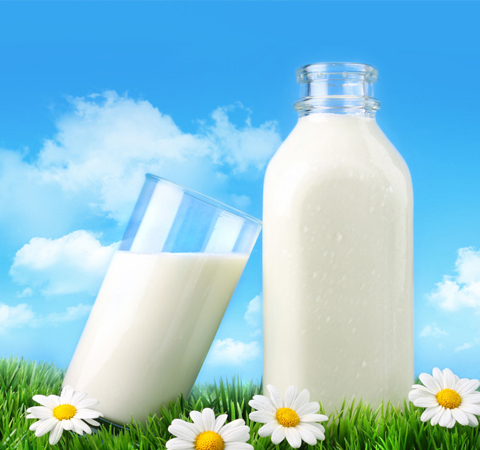 喝牛奶會胖嗎 揭開牛奶的9個健康真相