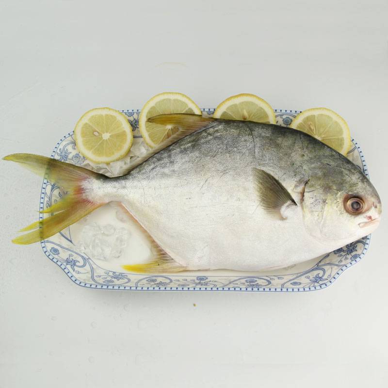 平魚的做法大全 平魚的選購(gòu)還有這講究