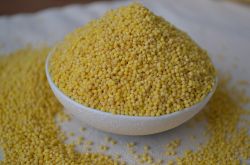 小米的功效與作用 小米怎么做好吃