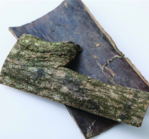 杜仲的功效與作用及食用方法介紹