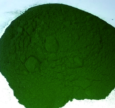 螺旋藻功能與作用及食用方法介紹