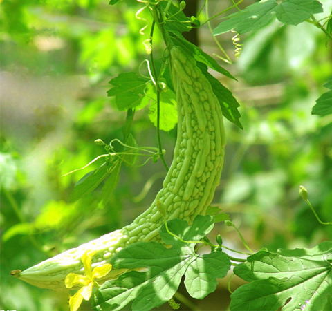 舒適過夏天 謹記夏季保健小常識