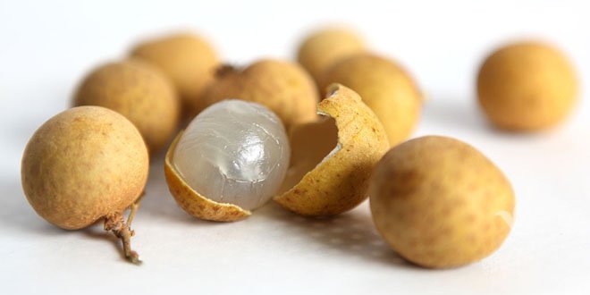 介紹桂圓和龍眼的區(qū)別及辨別真假的方法