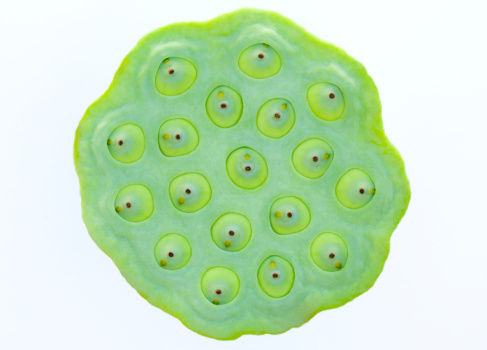 蓮子心的作用 食用方法及副作用介紹