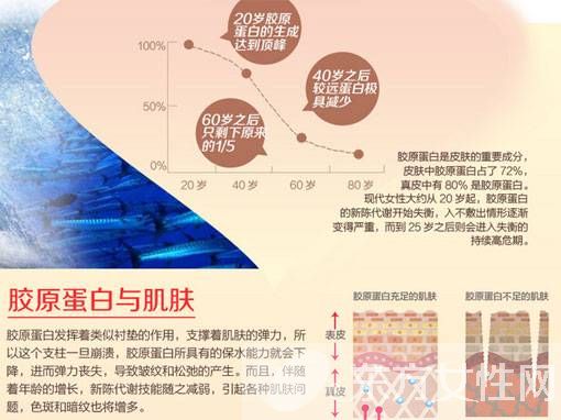 膠原蛋白的作用大盤(pán)點(diǎn) 服用膠原蛋白的注意事項(xiàng)