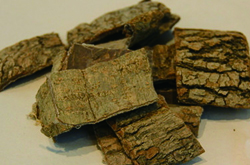 杜仲的功效與作用及食用方法介紹