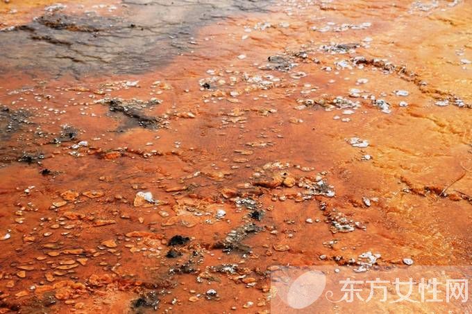 衣服上的鐵銹怎么洗掉 鐵銹可用什么洗