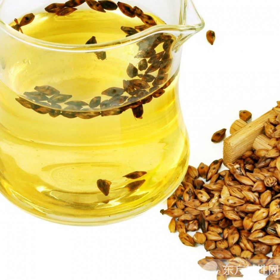 大麥茶有什么功效 喝大麥茶還能控油減肥