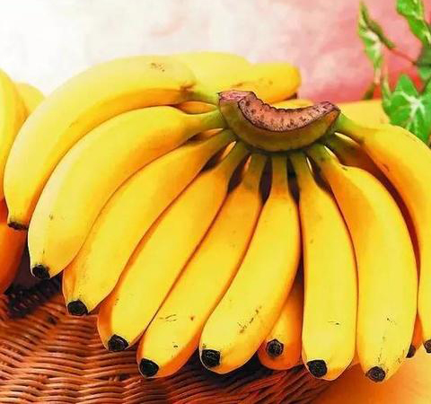 營養(yǎng)價值高 看看牛奶和香蕉一起吃有啥好處
