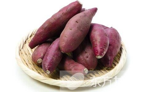 紅薯不能和什么一起吃 吃紅薯可導(dǎo)致的四種危害