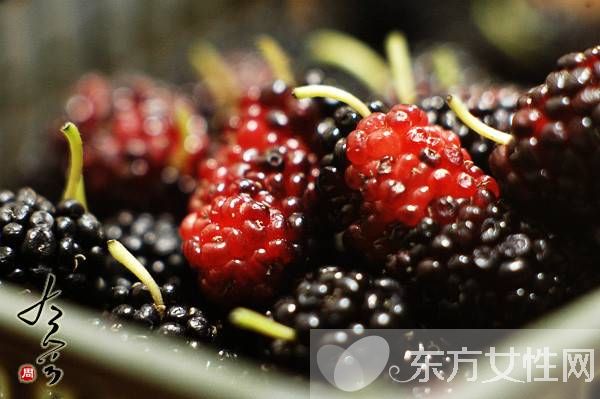 桑果的功效有哪些 這些人不宜食桑果