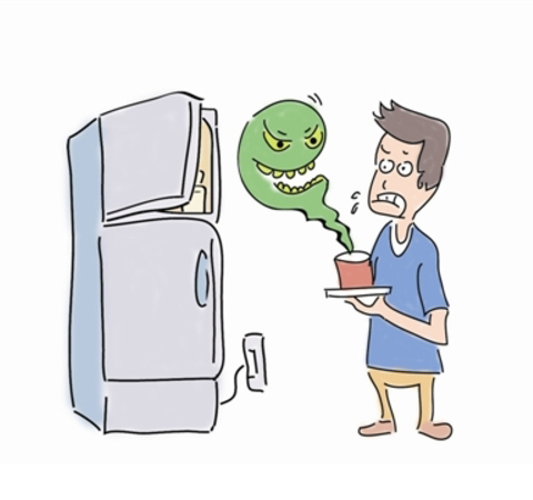冰箱細菌多？如何使用最好