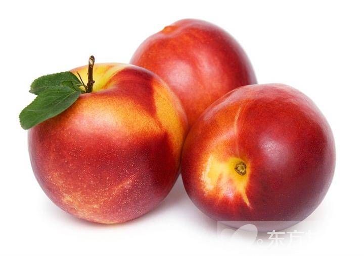 油桃的功效與作用 油桃的食用禁忌須知