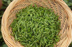 龍井是綠茶嗎？龍井茶的作用介紹