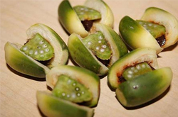 檳榔的功效與作用及食用方法介紹