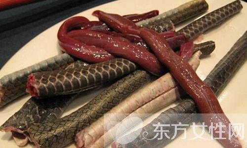 蛇肉的營養(yǎng)價值有哪些 水蛇兩燉淡菜的做法大公開