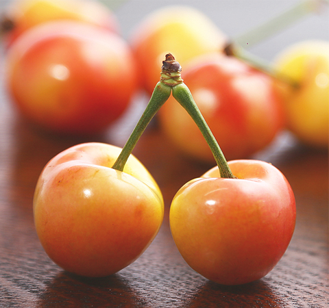 認(rèn)真了解 冬季生活知識有哪些