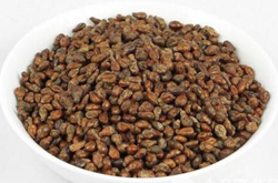 葡萄籽的功效和作用及副作用介紹