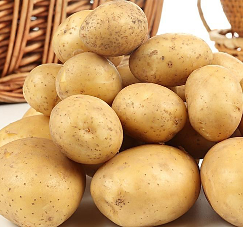 補氣血的食物 6種食物助女人補足氣血