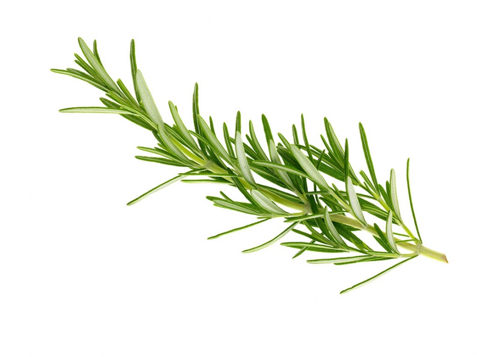 迷迭香的功效與作用 迷迭香還能這么食用