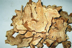 美白祛斑 白術的美容功效介紹