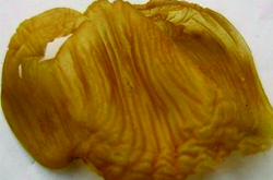 雞內(nèi)金的功效與作用及禁忌