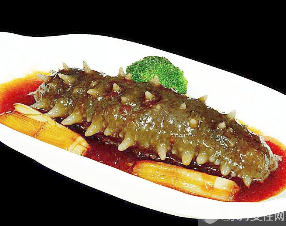 蔥燒海參怎么做好吃 海參不僅補(bǔ)腎還有這功效