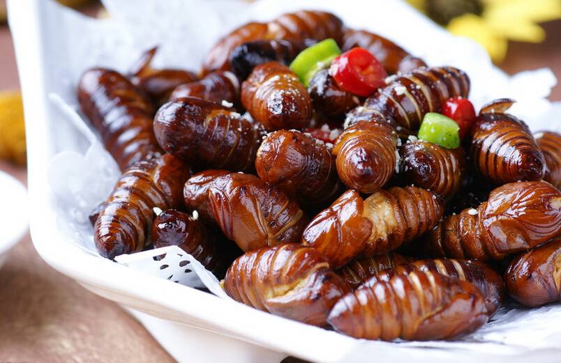 蠶蛹怎么吃 蠶蛹這么吃美味爆了