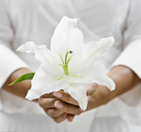 補脾的食物有哪些？9種常見健脾食物