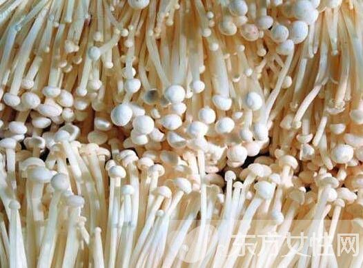 金針菇的營養(yǎng)價值大盤點 金針菇不止營養(yǎng)豐富這么簡單