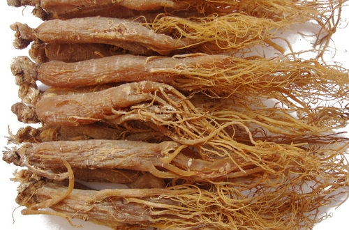 紅參與高麗參的區(qū)別    外形產(chǎn)地各不同