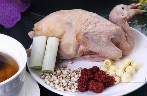 白鴿的功效      美容美顏強(qiáng)身健體