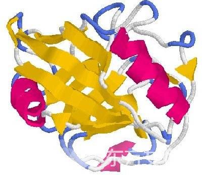 什么是營養(yǎng)不良性水腫？營養(yǎng)不良性水腫的飲食