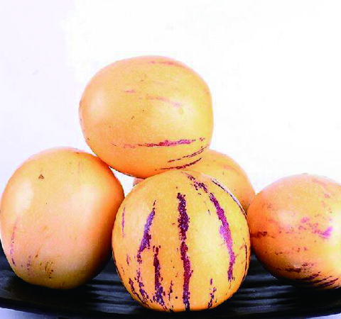 人參果的功效與作用及食用禁忌