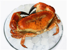 螃蟹不能和什么食物一起吃 這些禁忌你得知