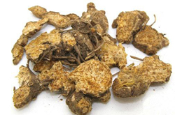 蒼術(shù)的作用與功效及食用方法