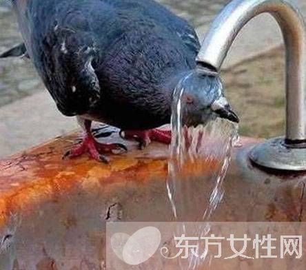 燙傷怎么處理 燙傷處理的幾大方法