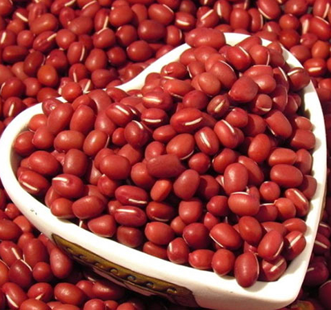 揭密赤豆的功效與作用具體有哪些