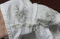 衣服發(fā)霉該如何清洗 3種簡便方法一招搞定