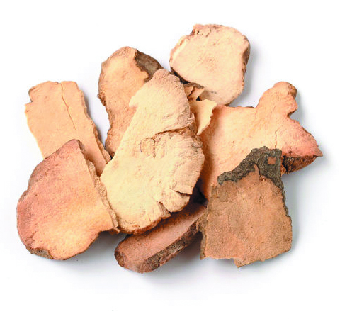 土茯苓功效與作用及食用禁忌講解