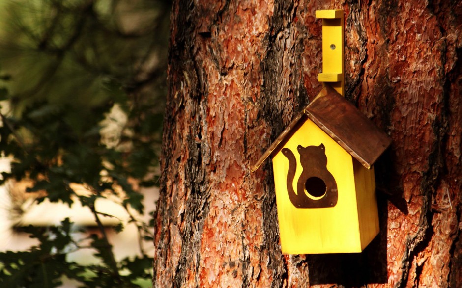 家有妙招大全集 薦日常生活中的12個小竅門