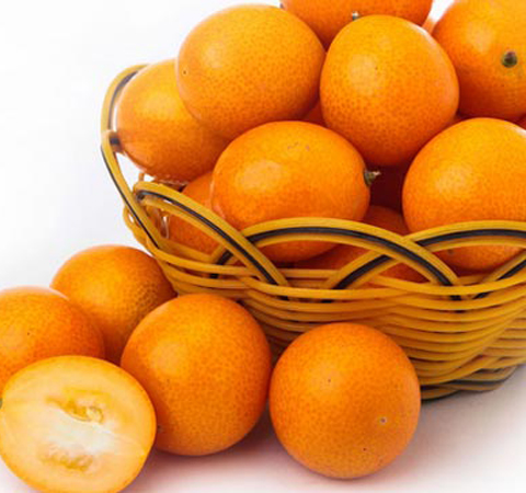 預(yù)防慢性疾病全靠它 揭金桔的功效與作用