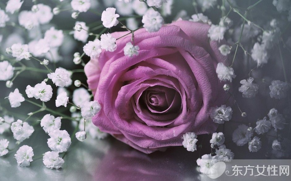 玫瑰花怎么保存時(shí)間長(zhǎng)  玫瑰花的花語(yǔ)是什么