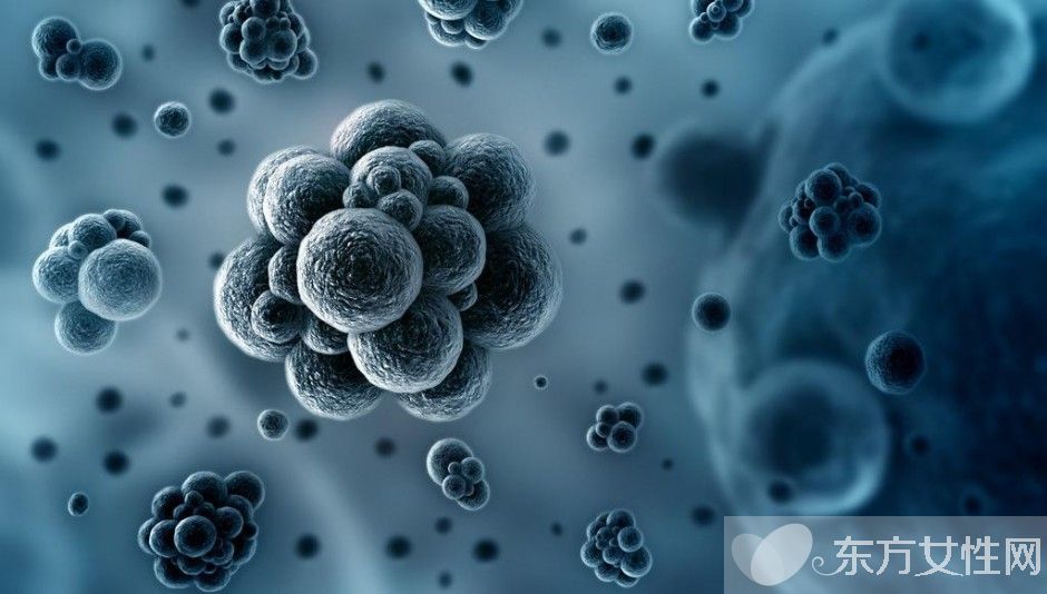 乙肝傳播途徑有哪些 幾大傳播途徑要了解