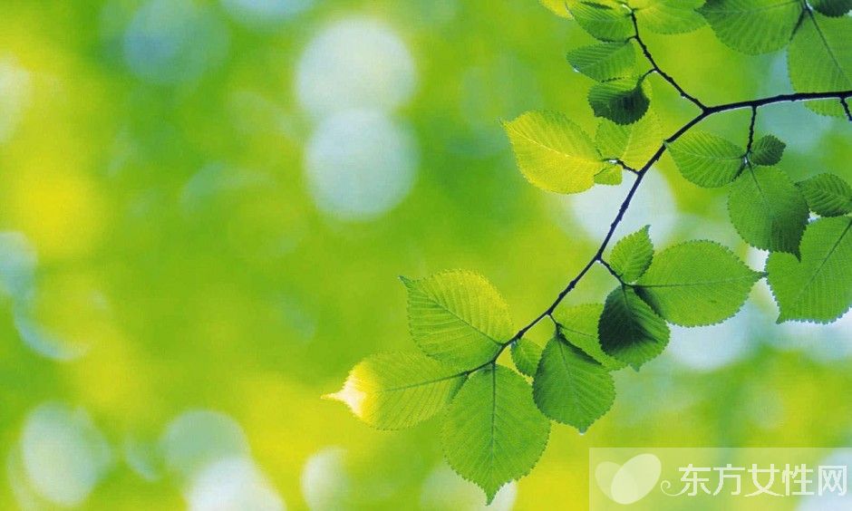 如何保護(hù)眼睛  推薦日常護(hù)眼10個小竅門