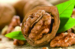 核桃的藥用價值及選購儲存方法