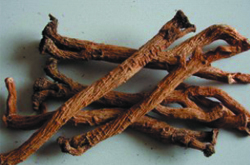 板藍(lán)根顆粒的功效與作用及食用禁忌